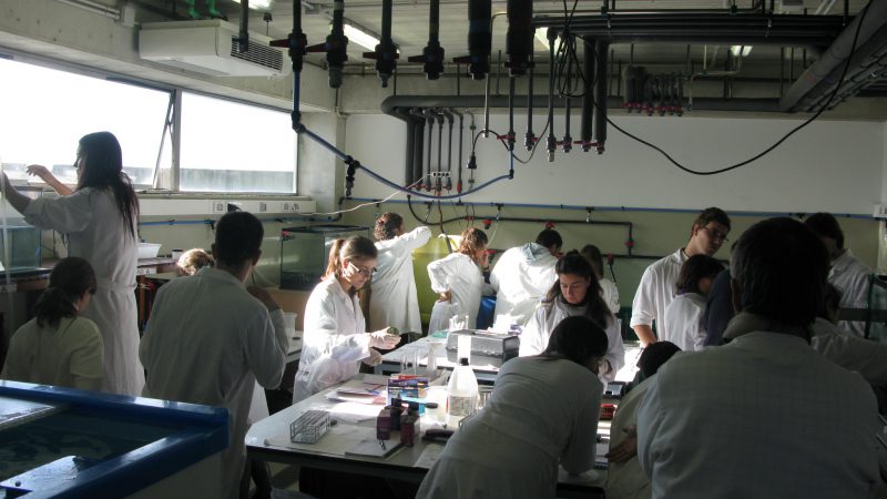 teaching lab