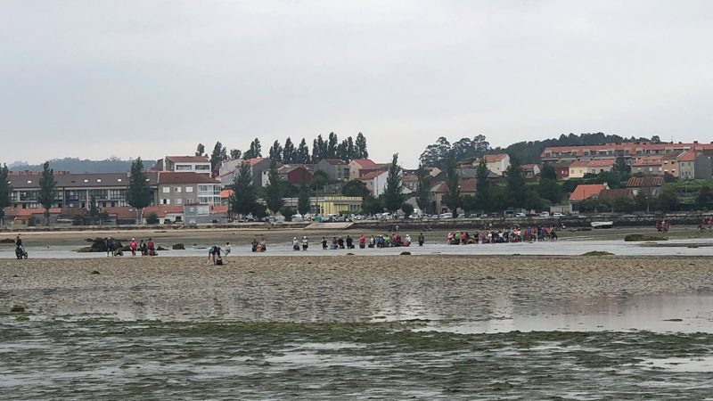 Investigadores galegos analizan como afrontarán as rías os impactos sociais do cambio climático