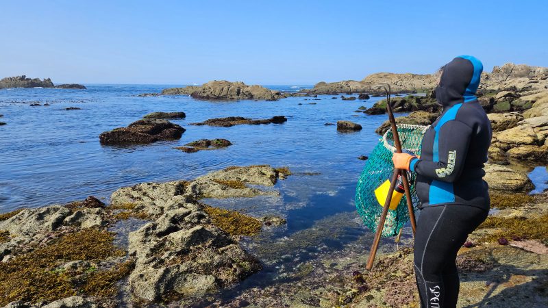 A pesca artesanal, clave para o futuro do planeta. Foto Haritz Ayarza